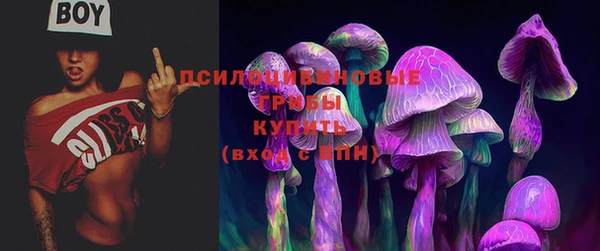первитин Няндома