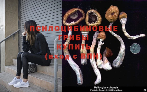 первитин Няндома