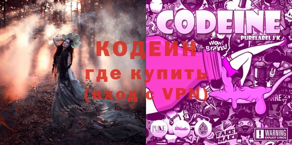 гашик Вязьма