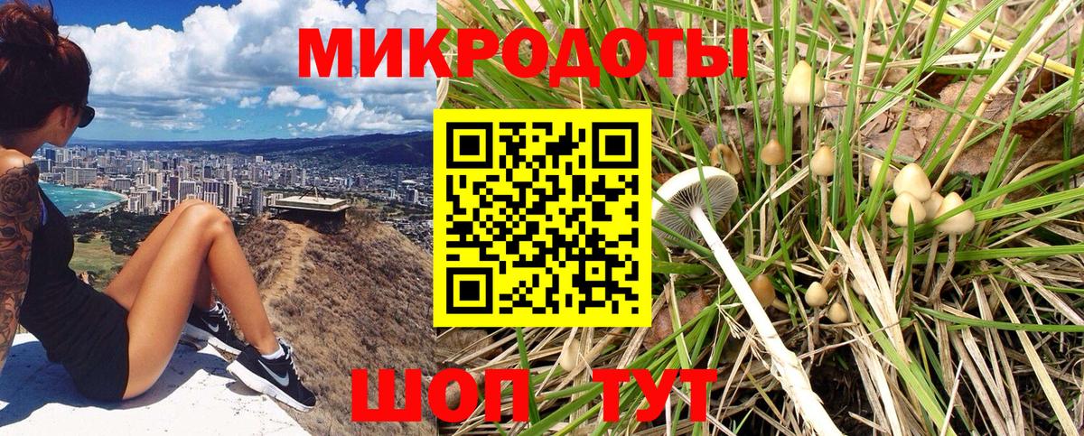 Галлюциногенные грибы ЛСД Шахты